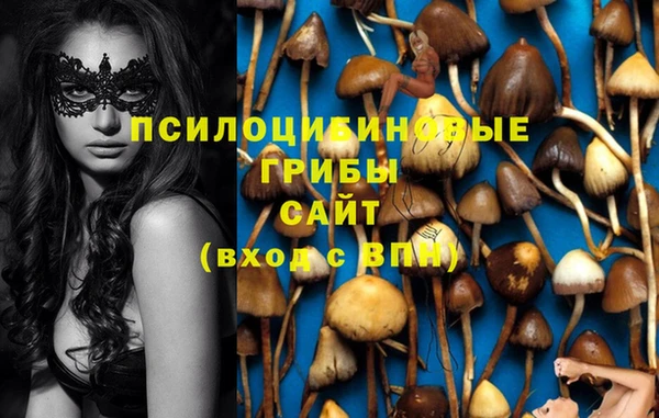 винт Абинск