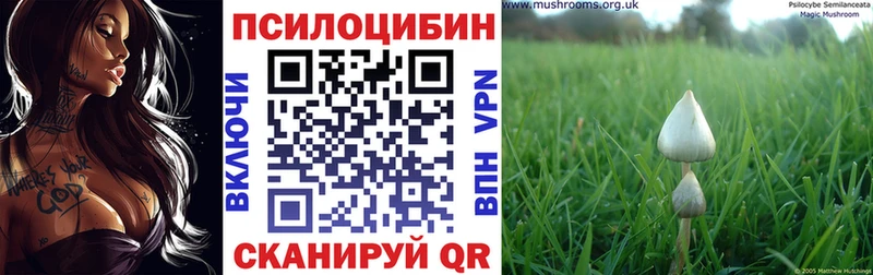 mega ТОР  Шумерля  Галлюциногенные грибы ЛСД 