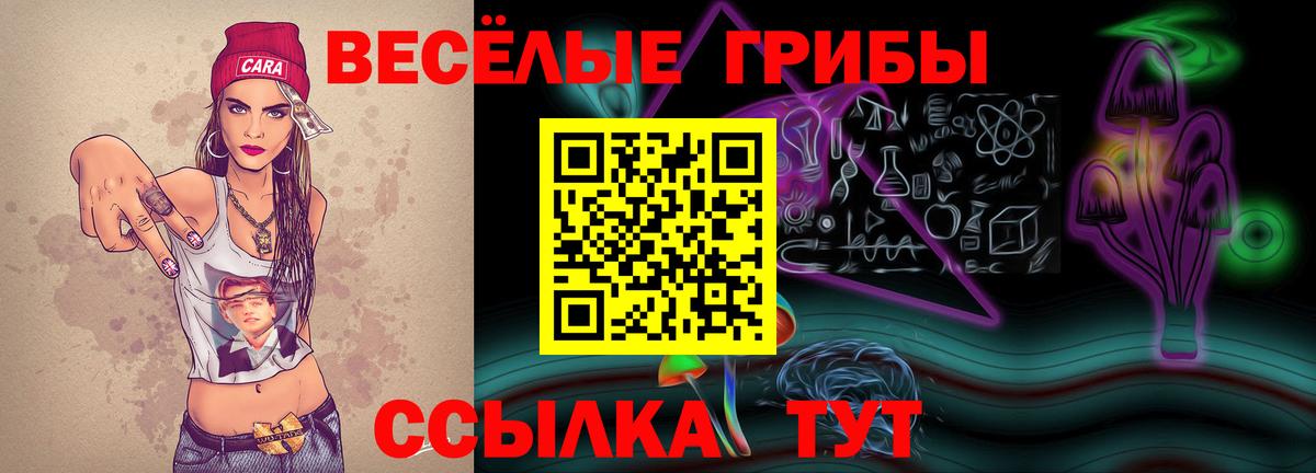 как найти наркотики  Галлюциногенные грибы мухоморы  Вход с VPN  Шумерля 